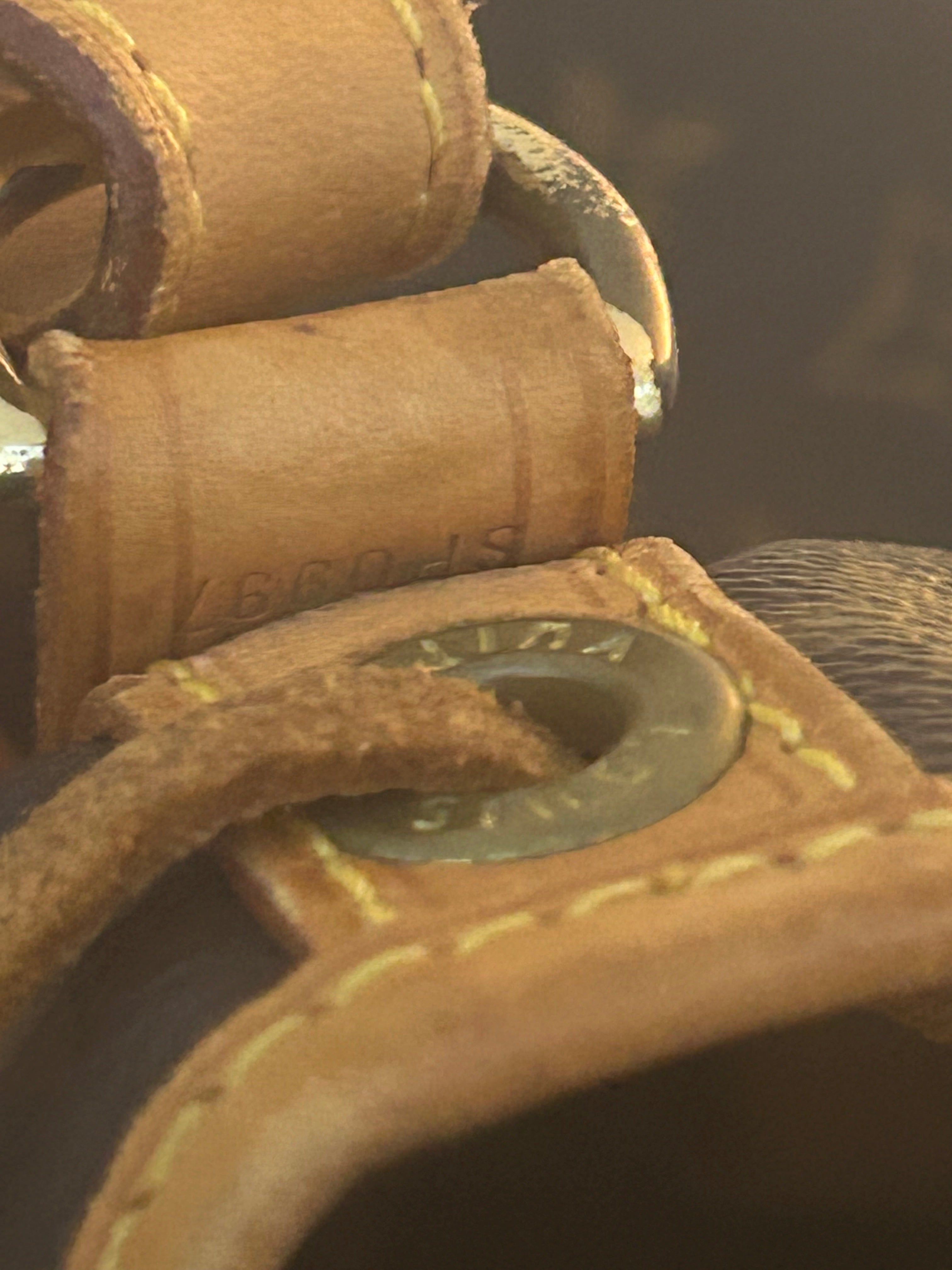 Louis Vuitton Noah