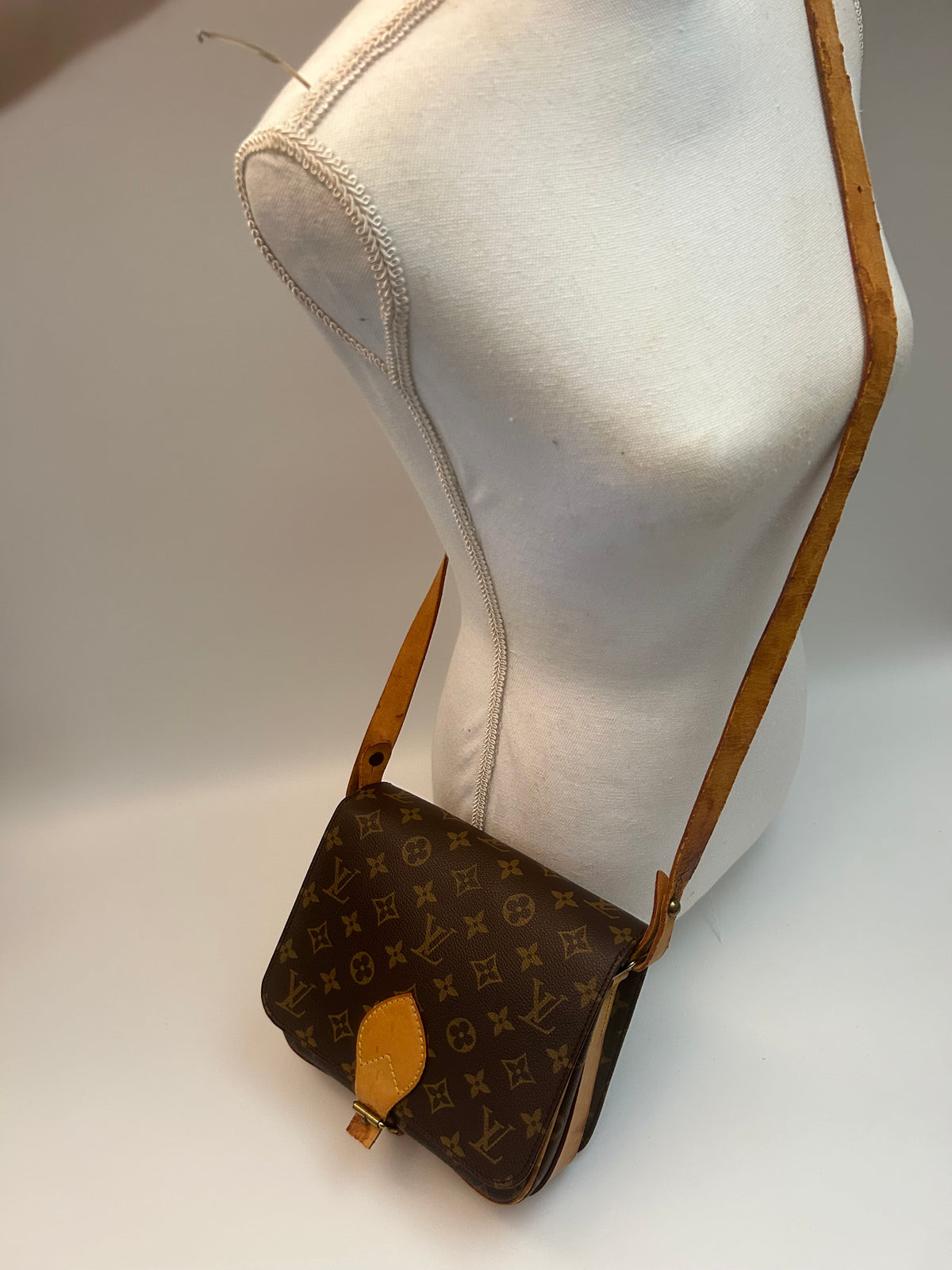 Louis Vuitton Cartoucherie PM