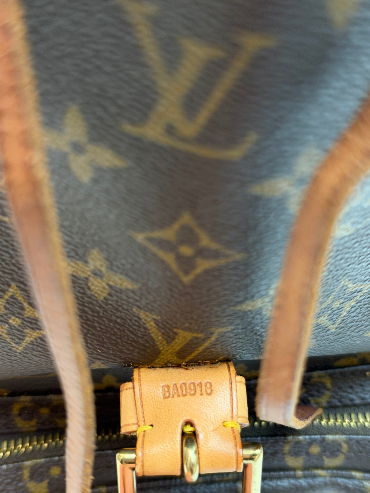 Louis Vuitton Montsouris GM
