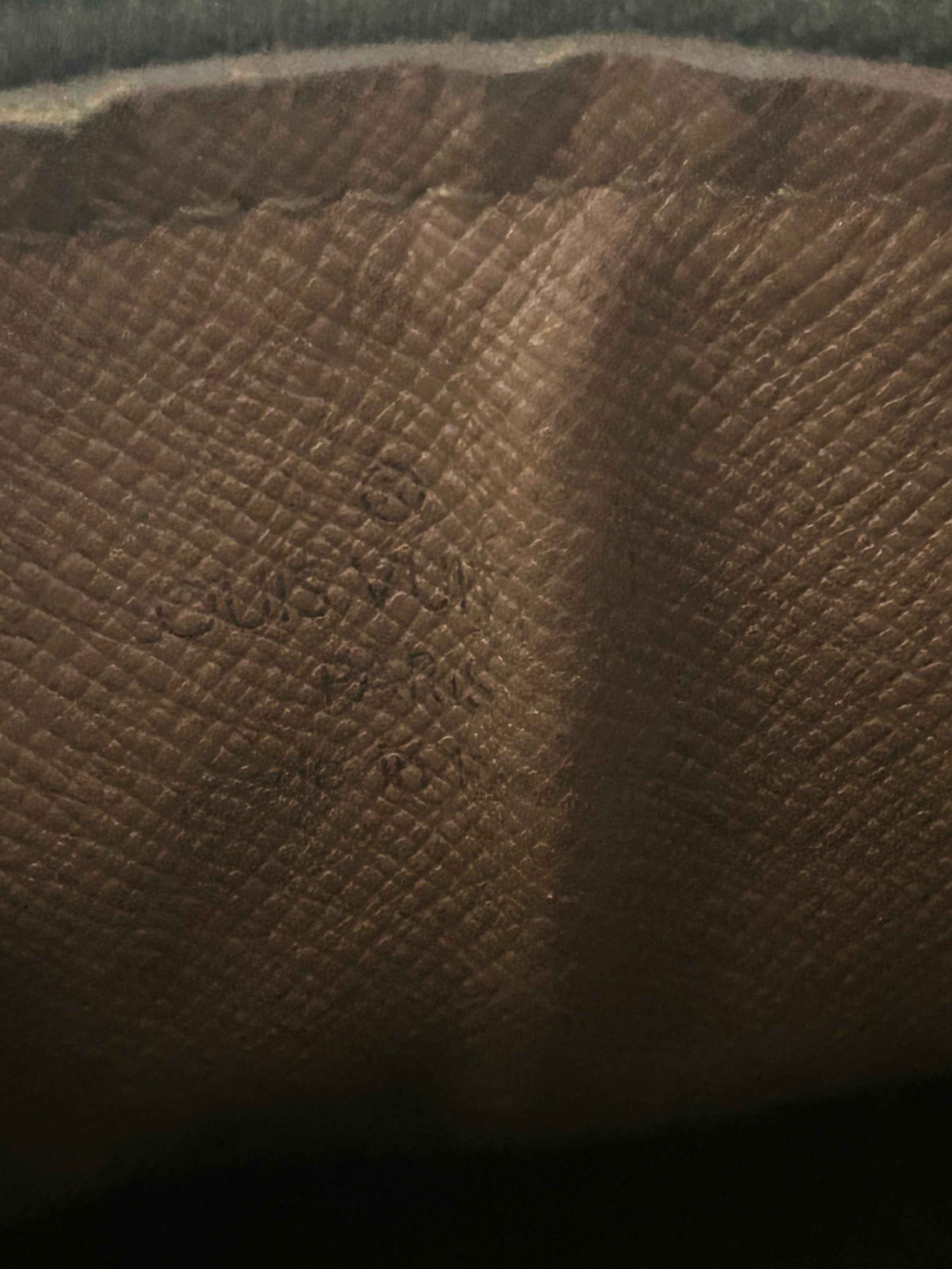 Louis Vuitton Papillion