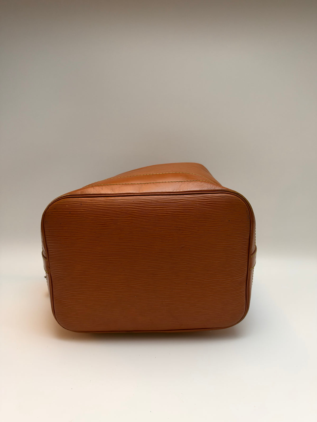 Louis Vuitton Noé Epi