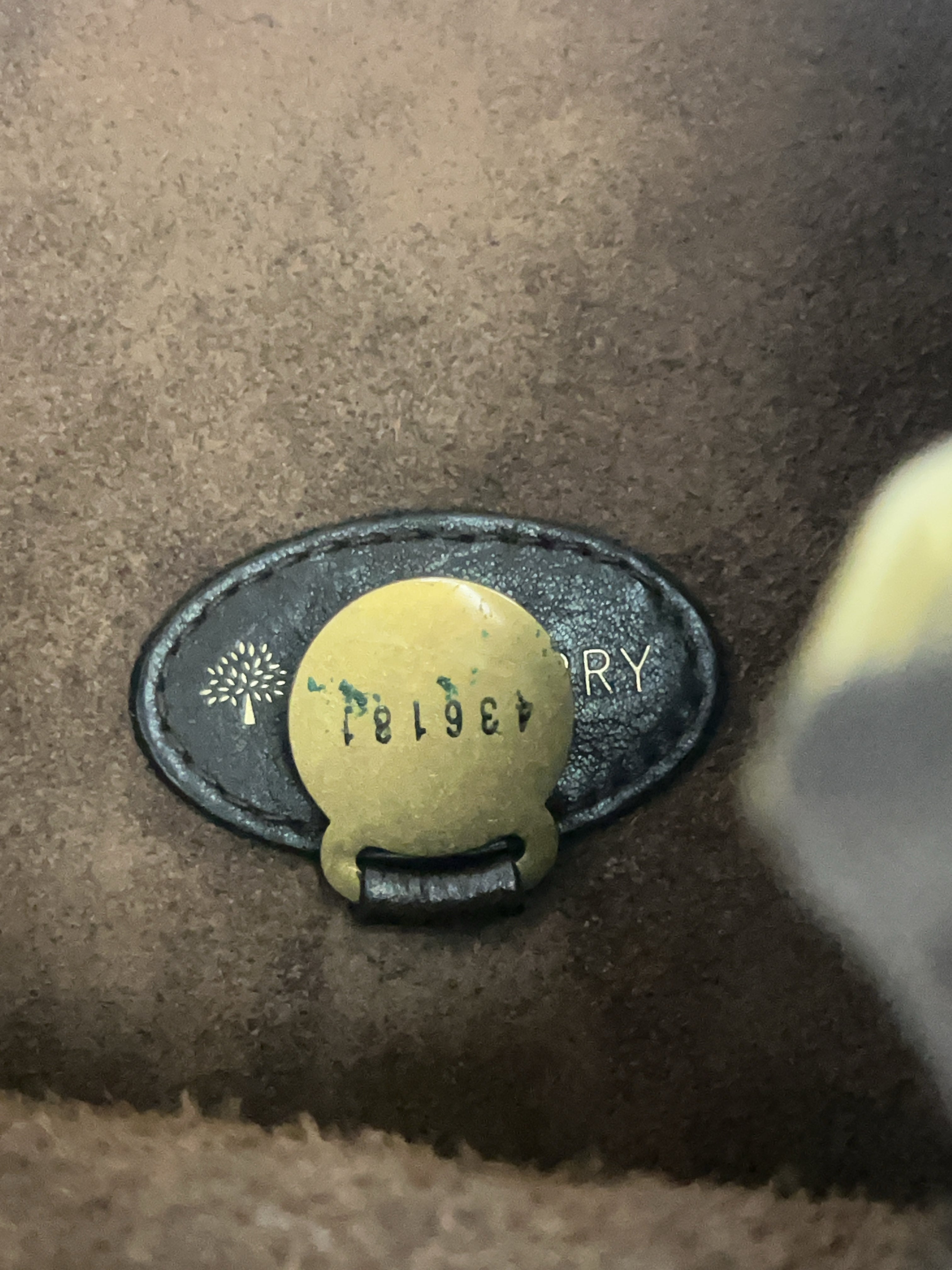 Mulberry Bag