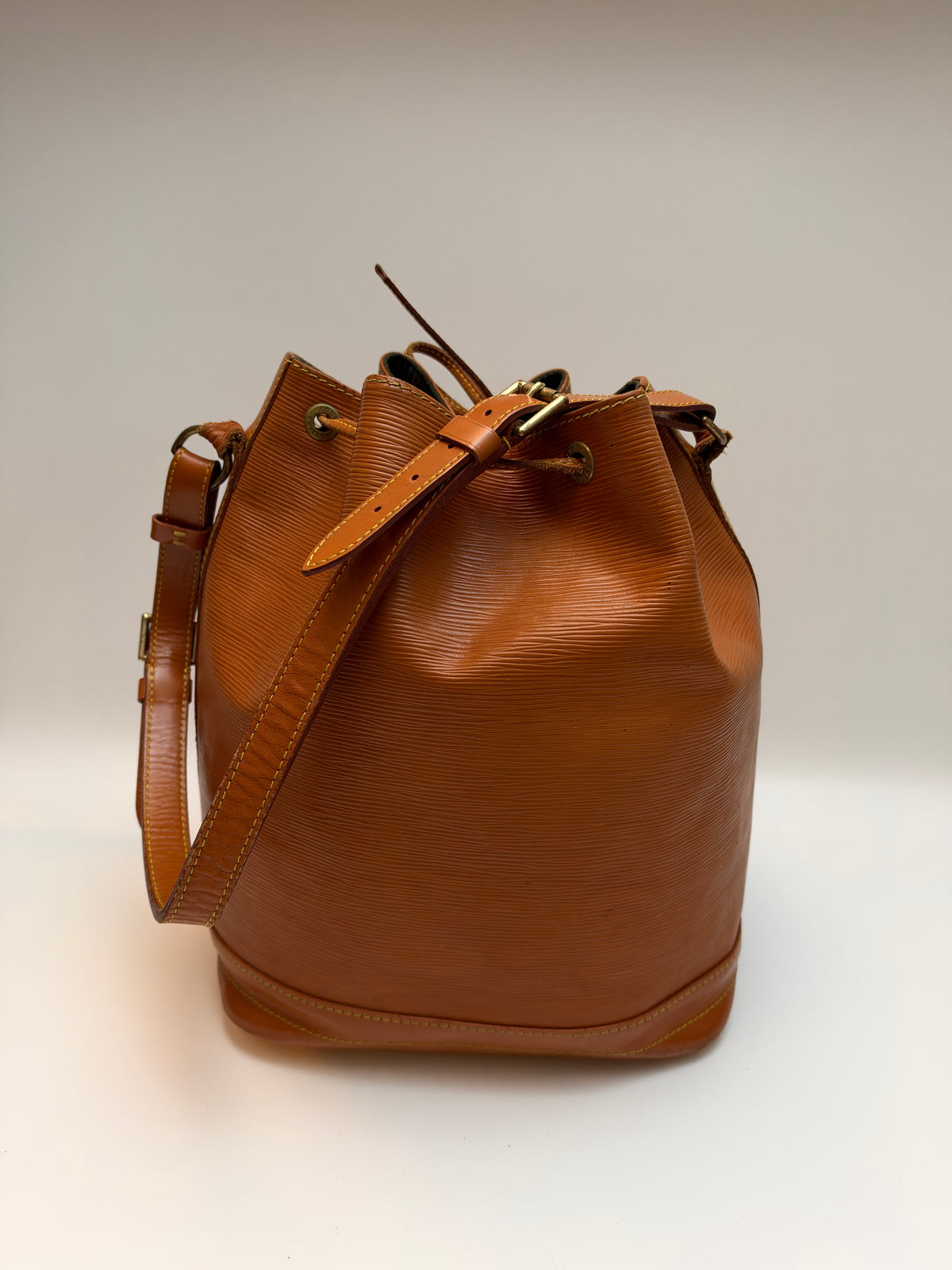 Louis Vuitton Noé Epi
