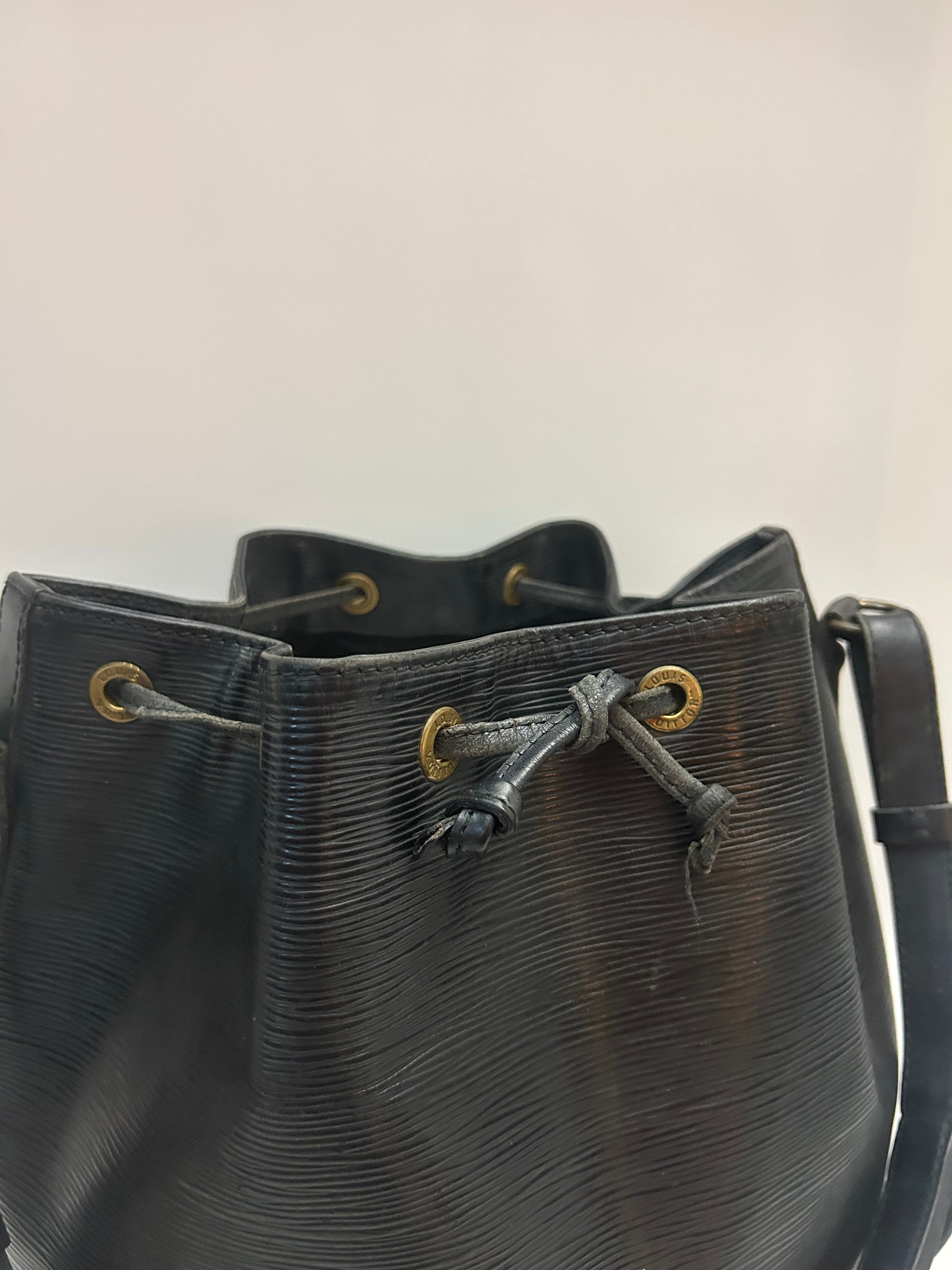Louis Vuitton Epi Noé