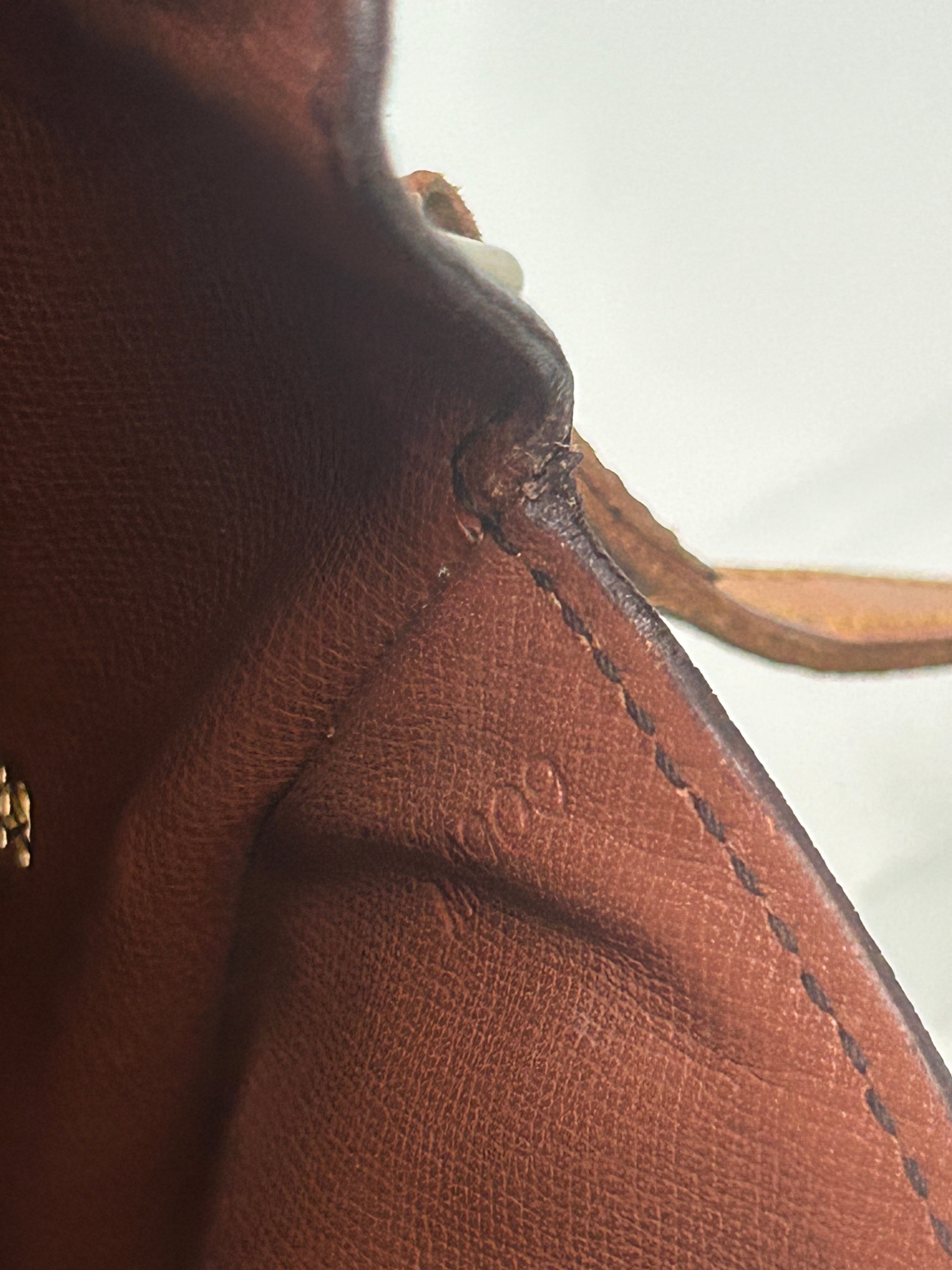 Louis Vuitton Saint Cloud PM