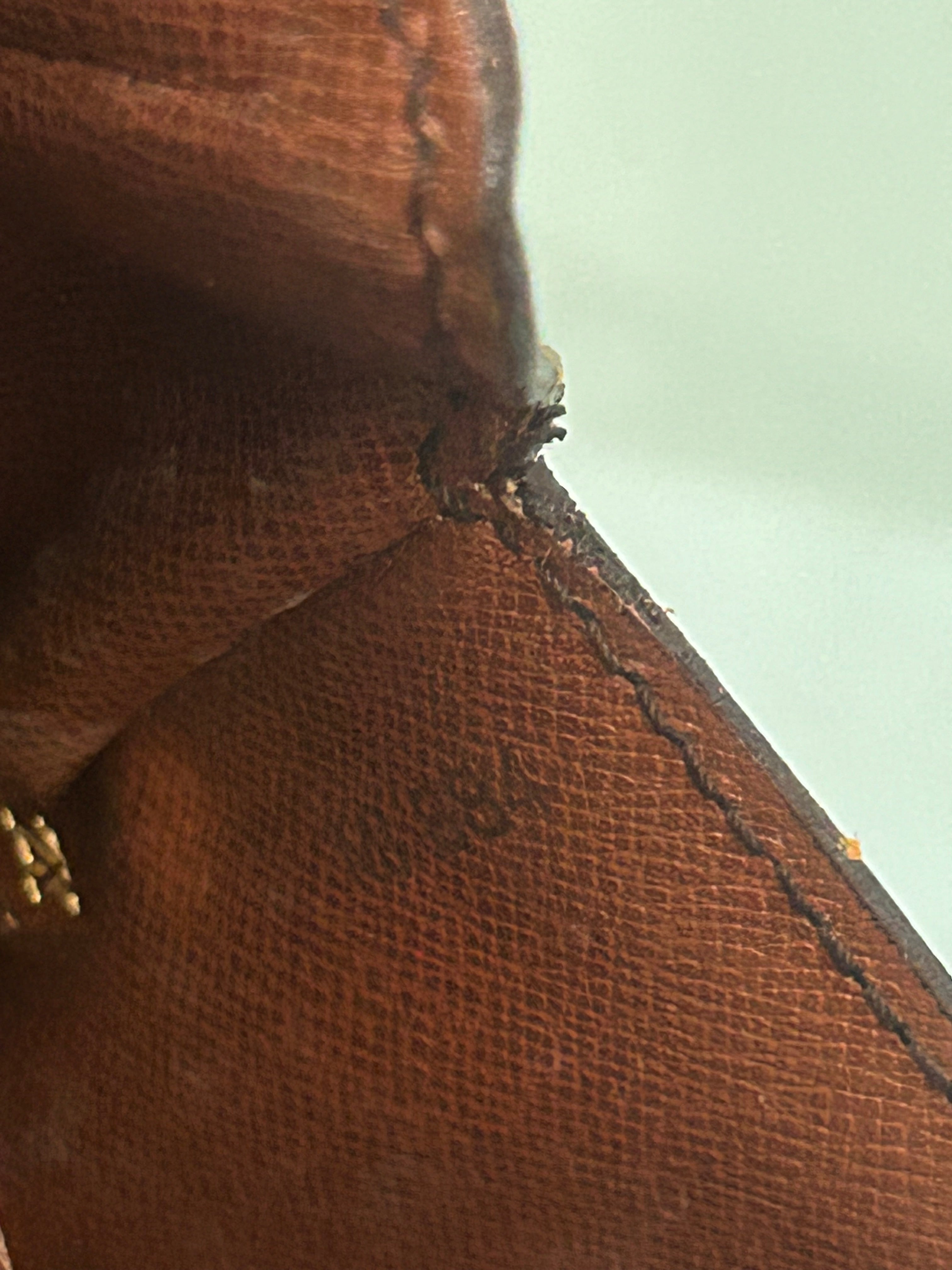 Louis Vuitton Saint Cloud PM