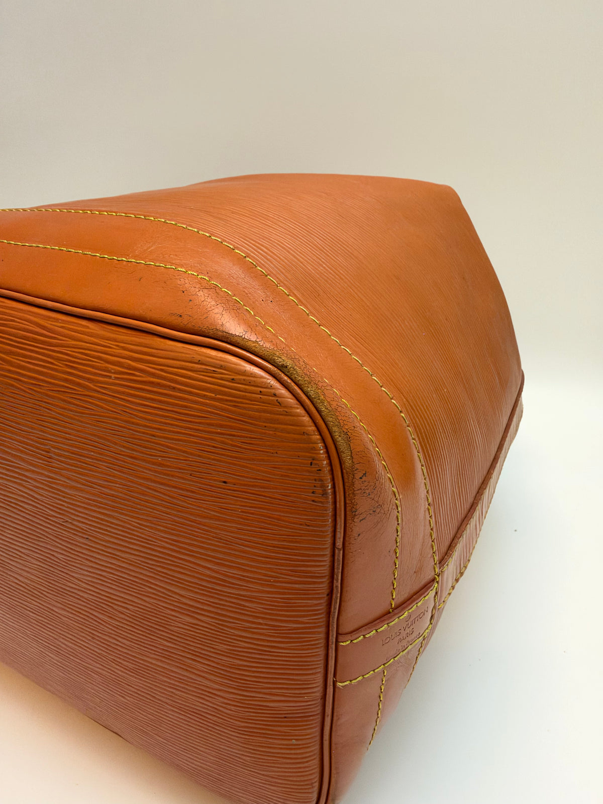 Louis Vuitton Noé Epi