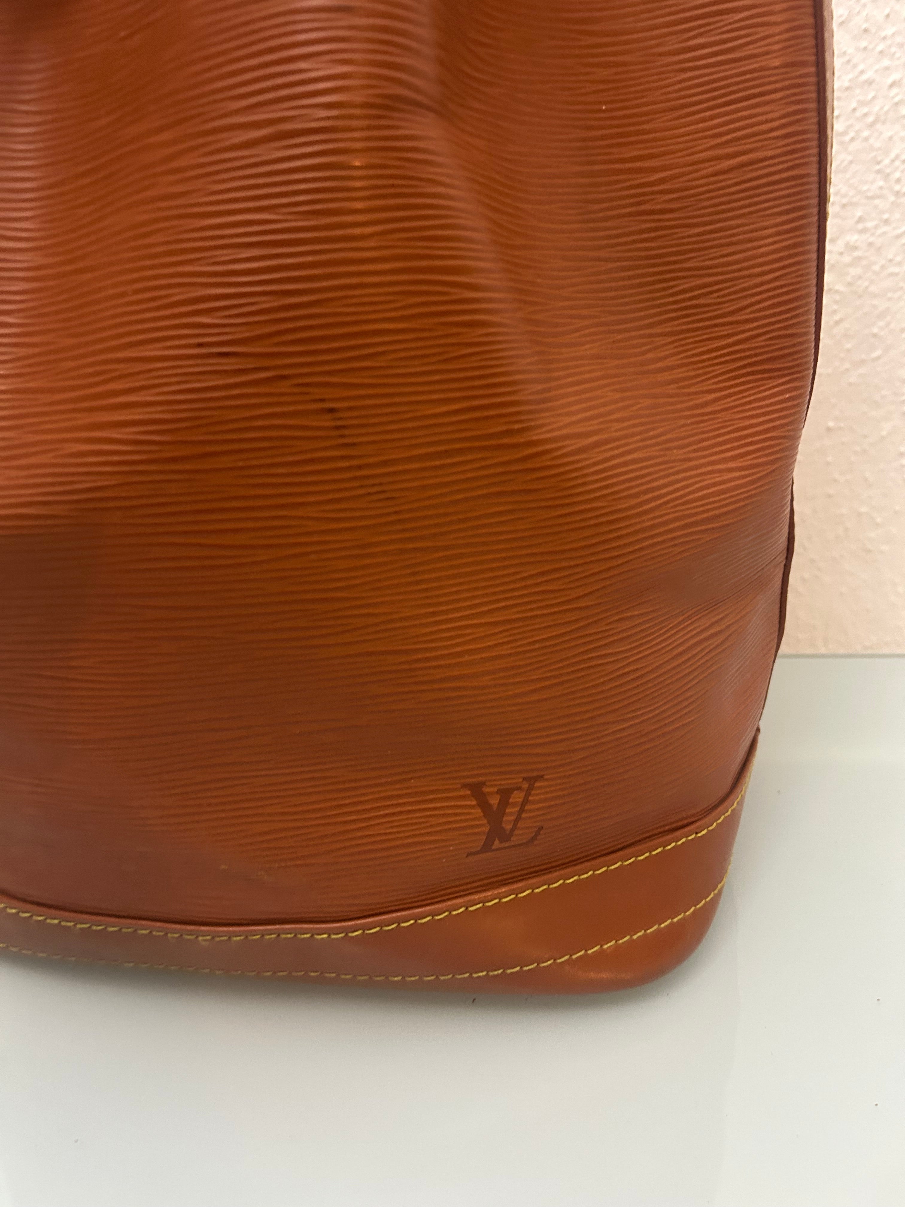 Louis Vuitton Noé Epi