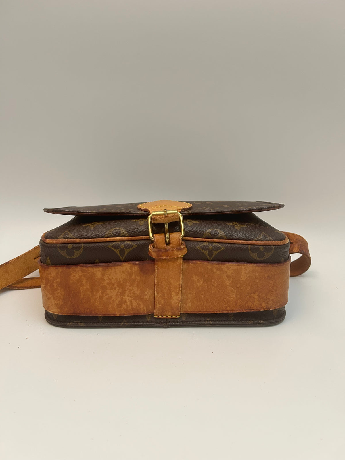 Louis Vuitton Cartoucherie PM