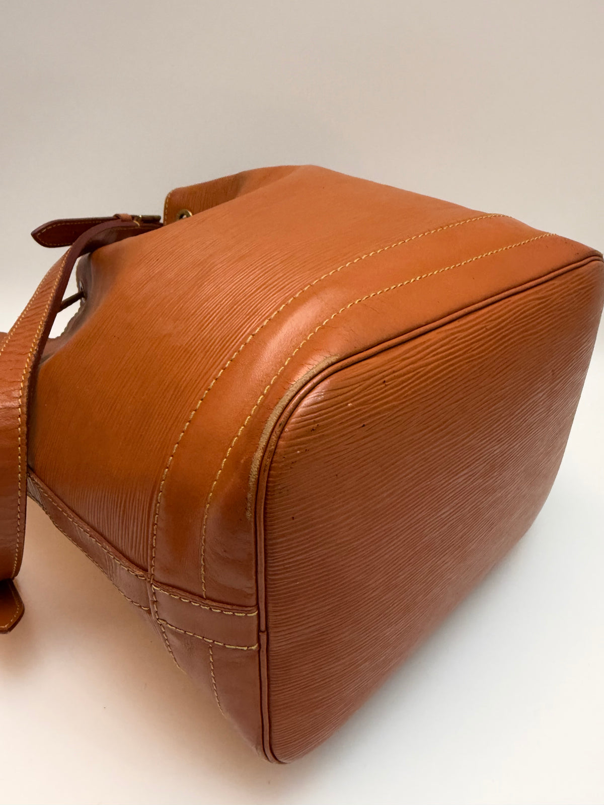 Louis Vuitton Noé Epi