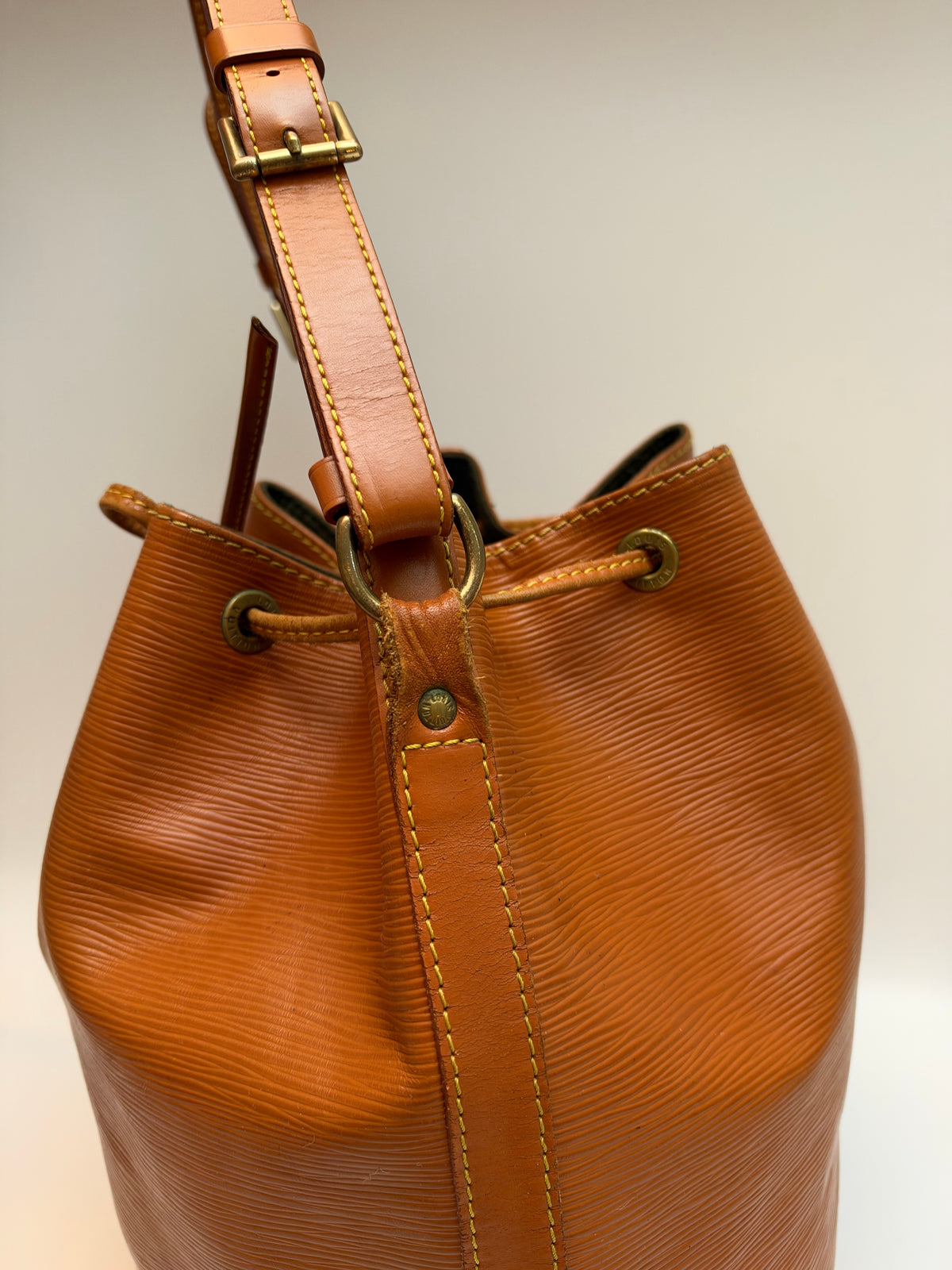 Louis Vuitton Noé Epi