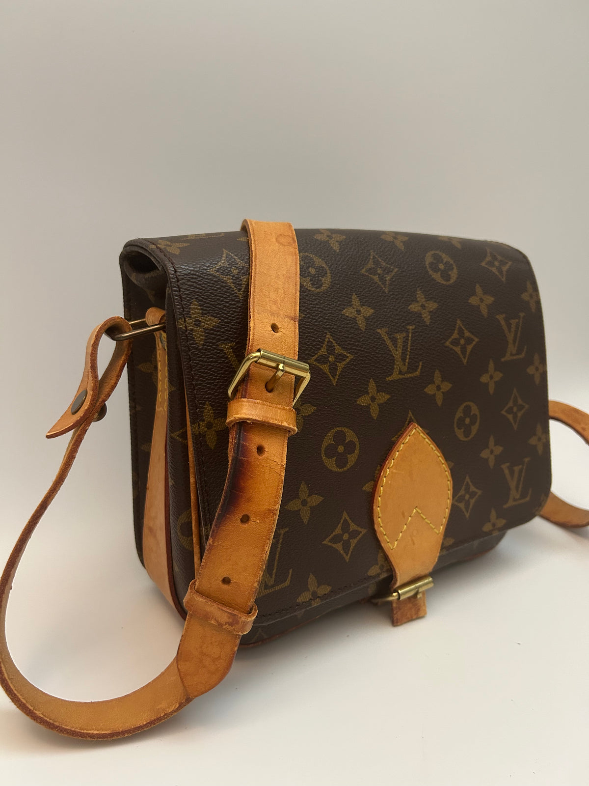 Louis Vuitton Cartoucherie PM