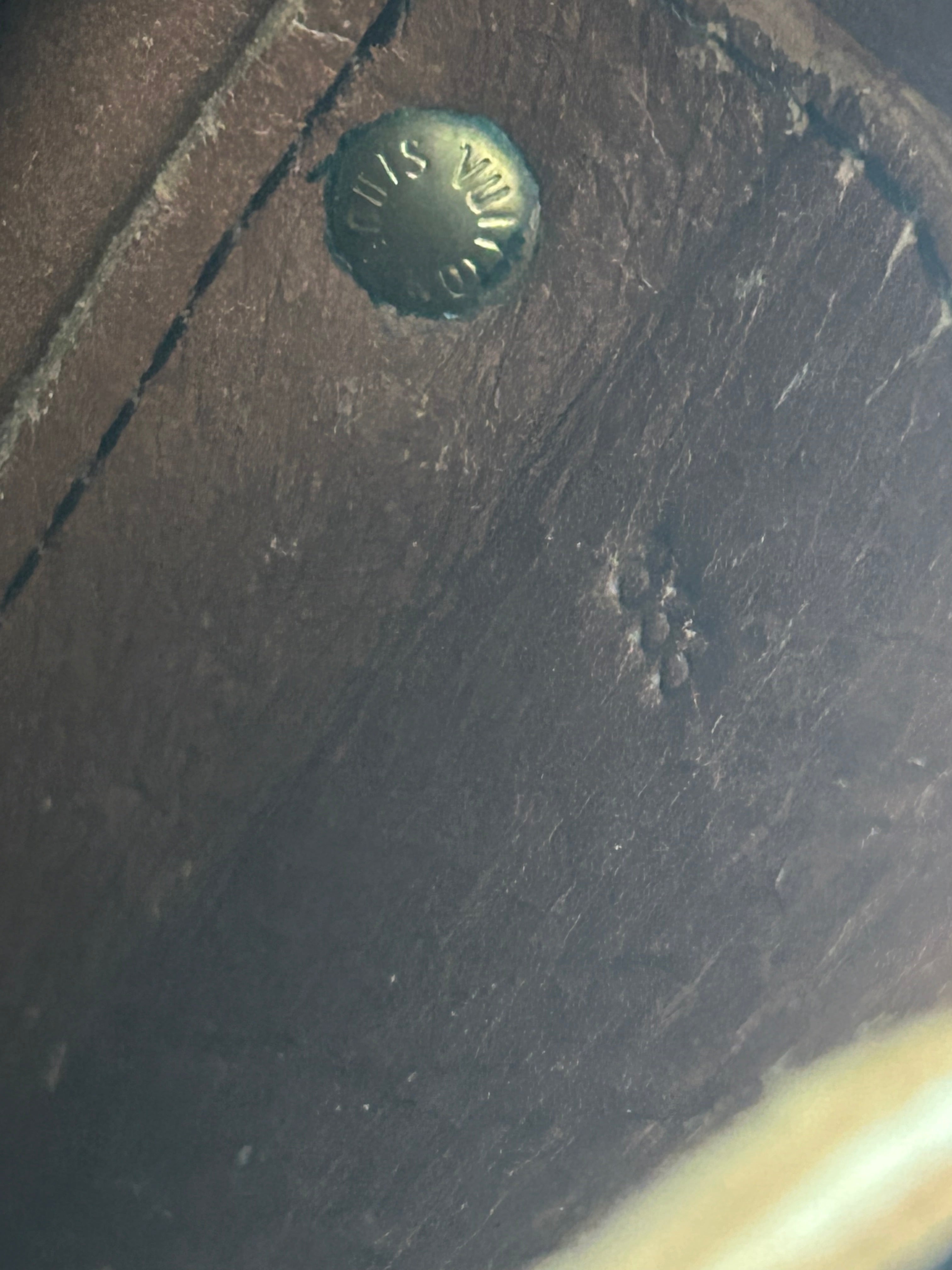 Louis Vuitton Cartoucherie GM