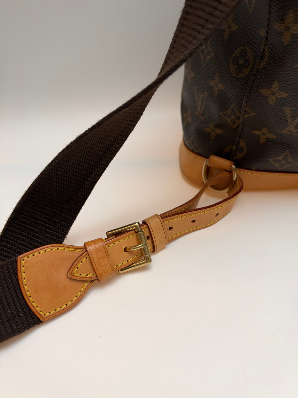 Louis Vuitton Montsouris GM