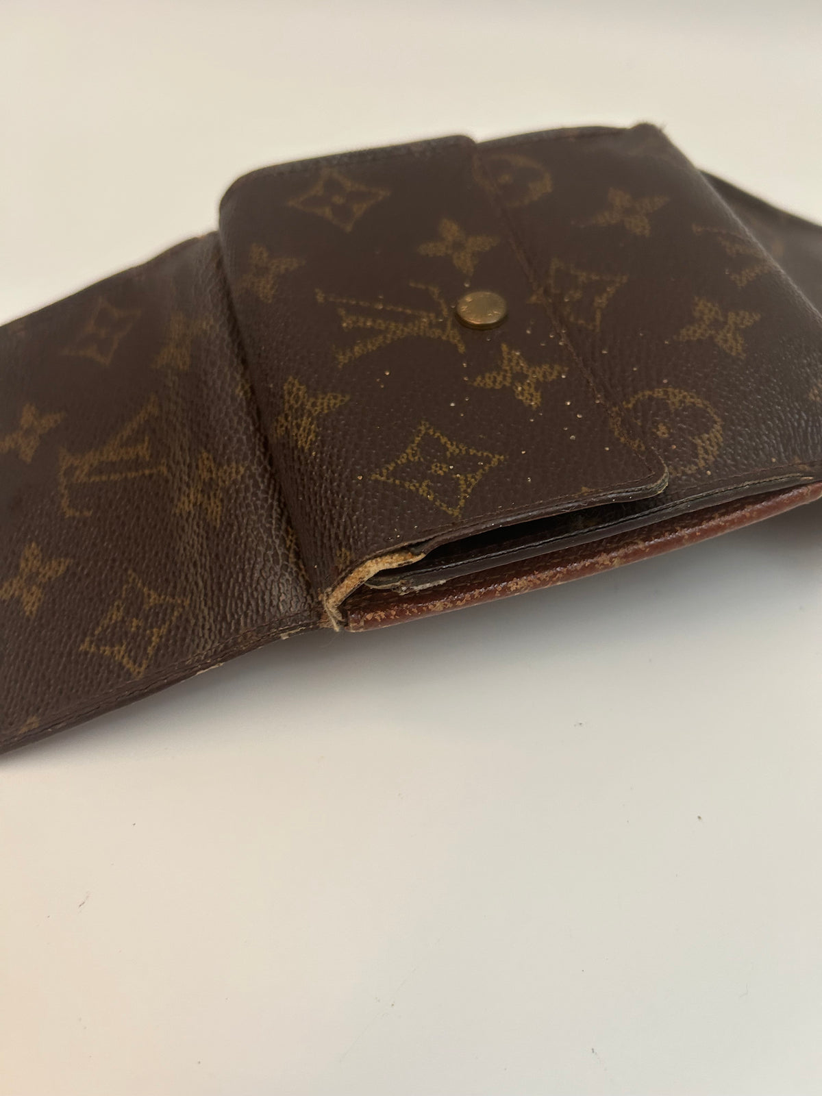 Louis Vuitton Pung