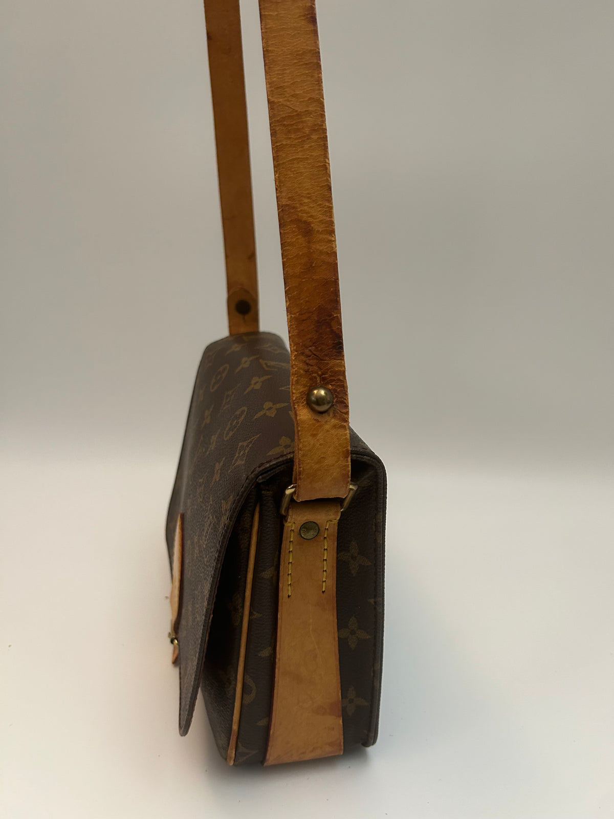 Louis Vuitton Cartoucherie PM