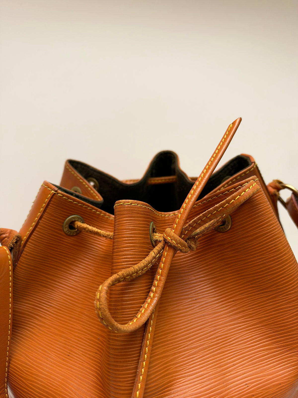 Louis Vuitton Noé Epi