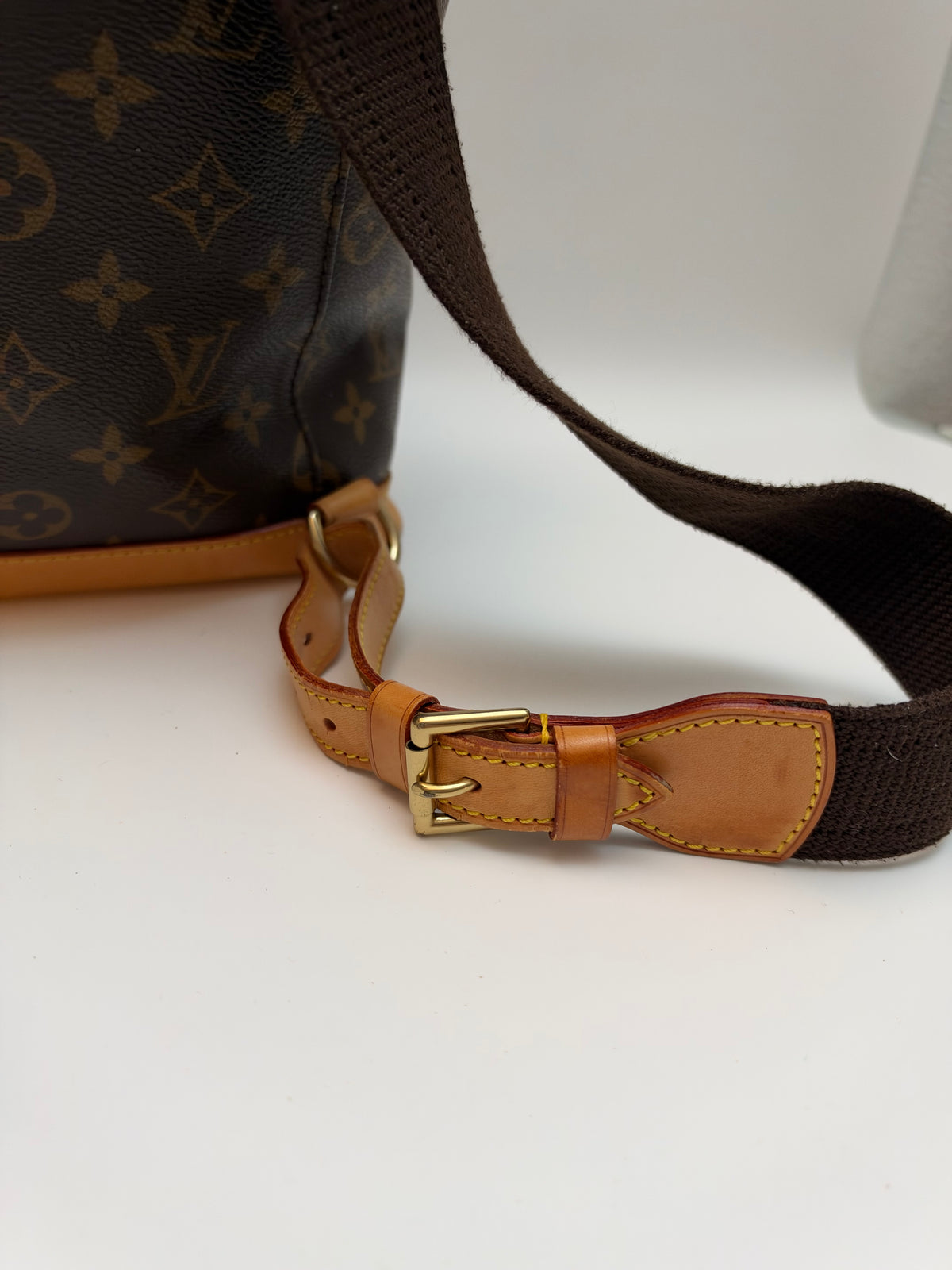 Louis Vuitton Montsouris GM