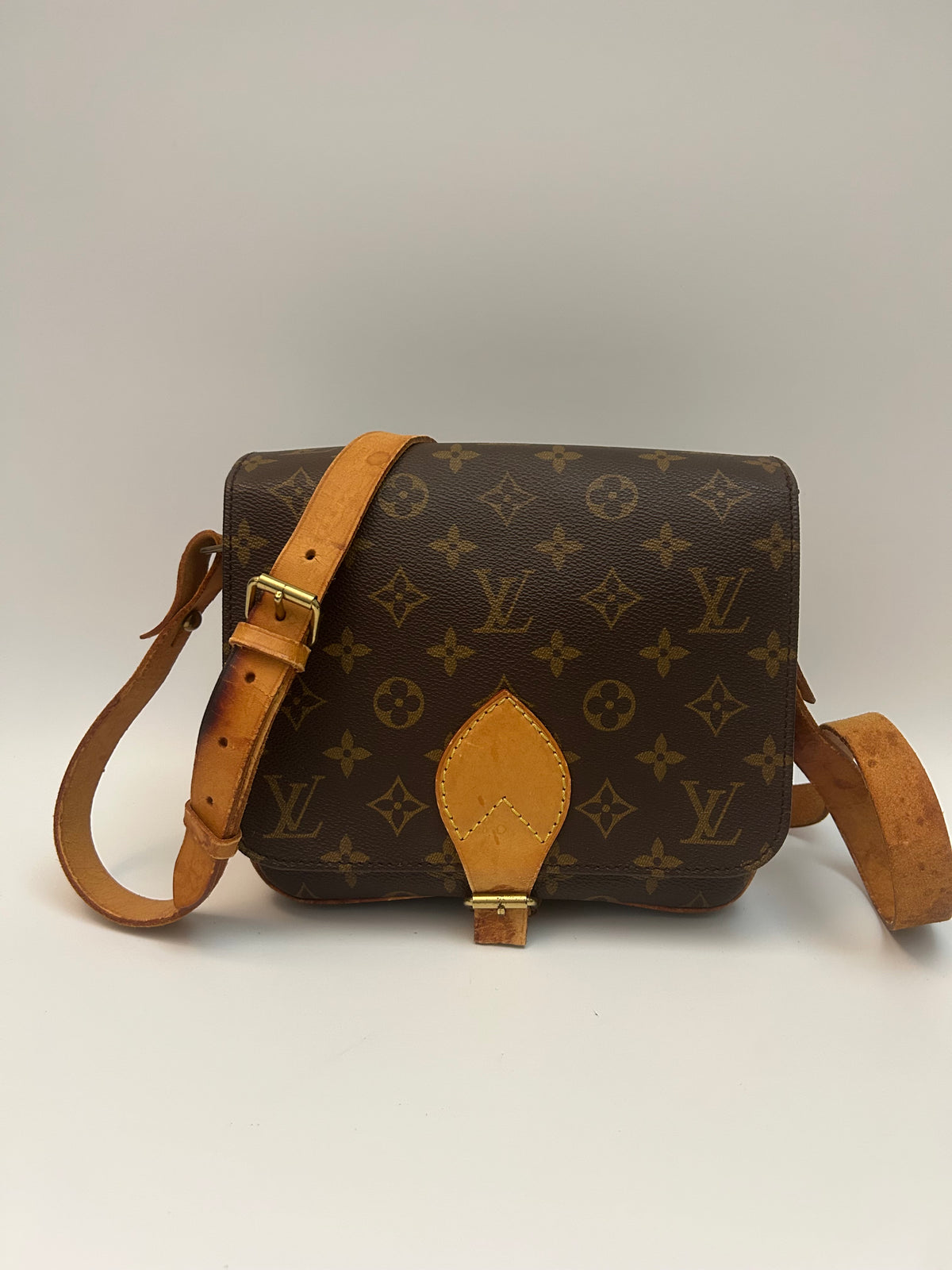 Louis Vuitton Cartoucherie PM