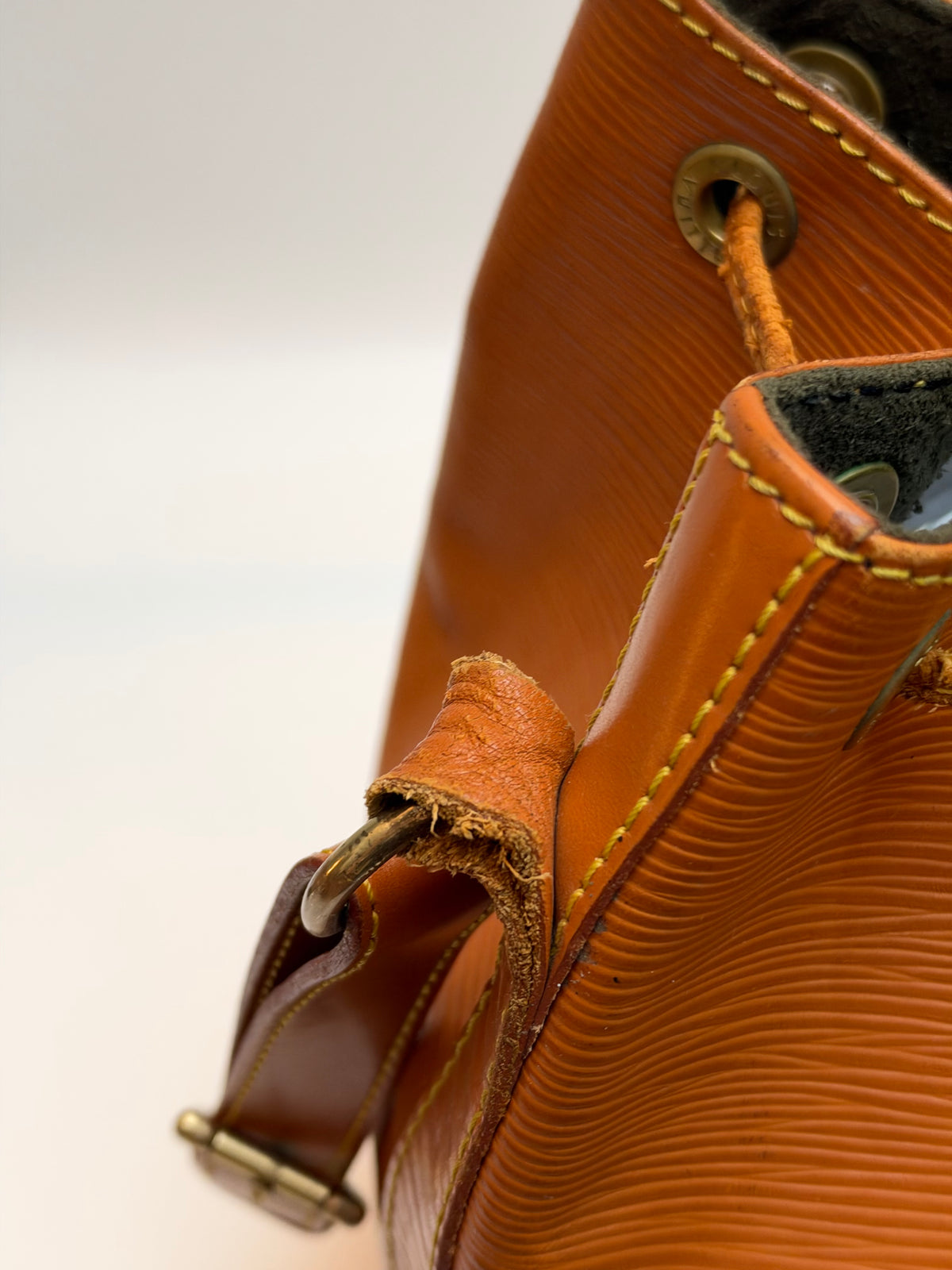Louis Vuitton Noé Epi