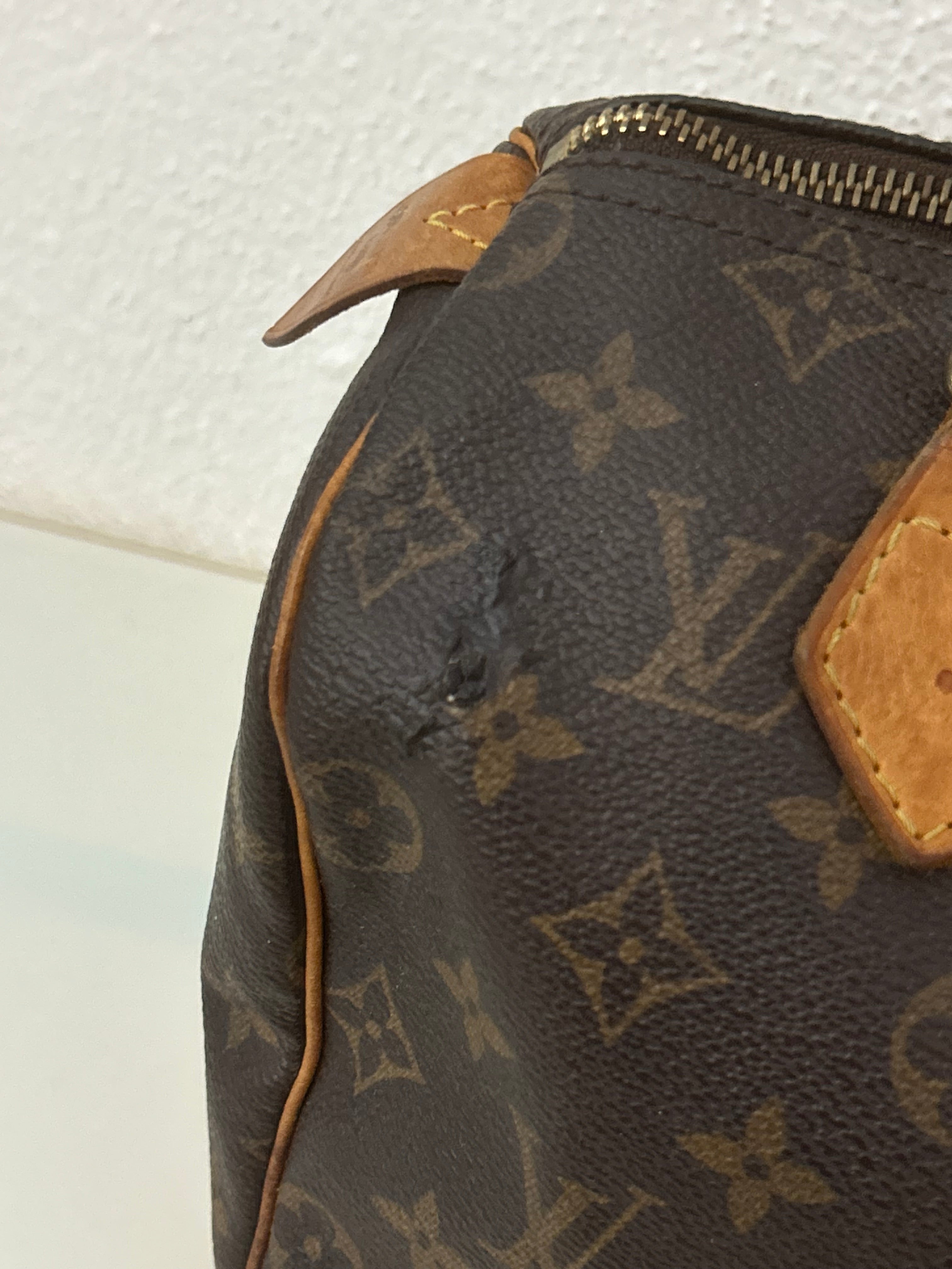 Louis Vuitton Speedy 25