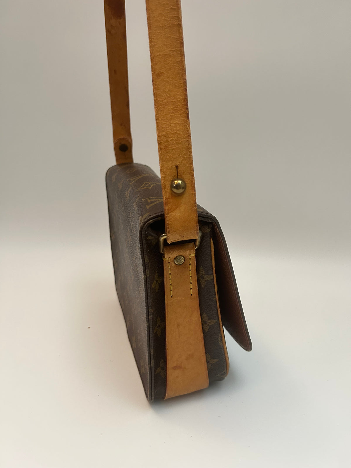 Louis Vuitton Cartoucherie PM