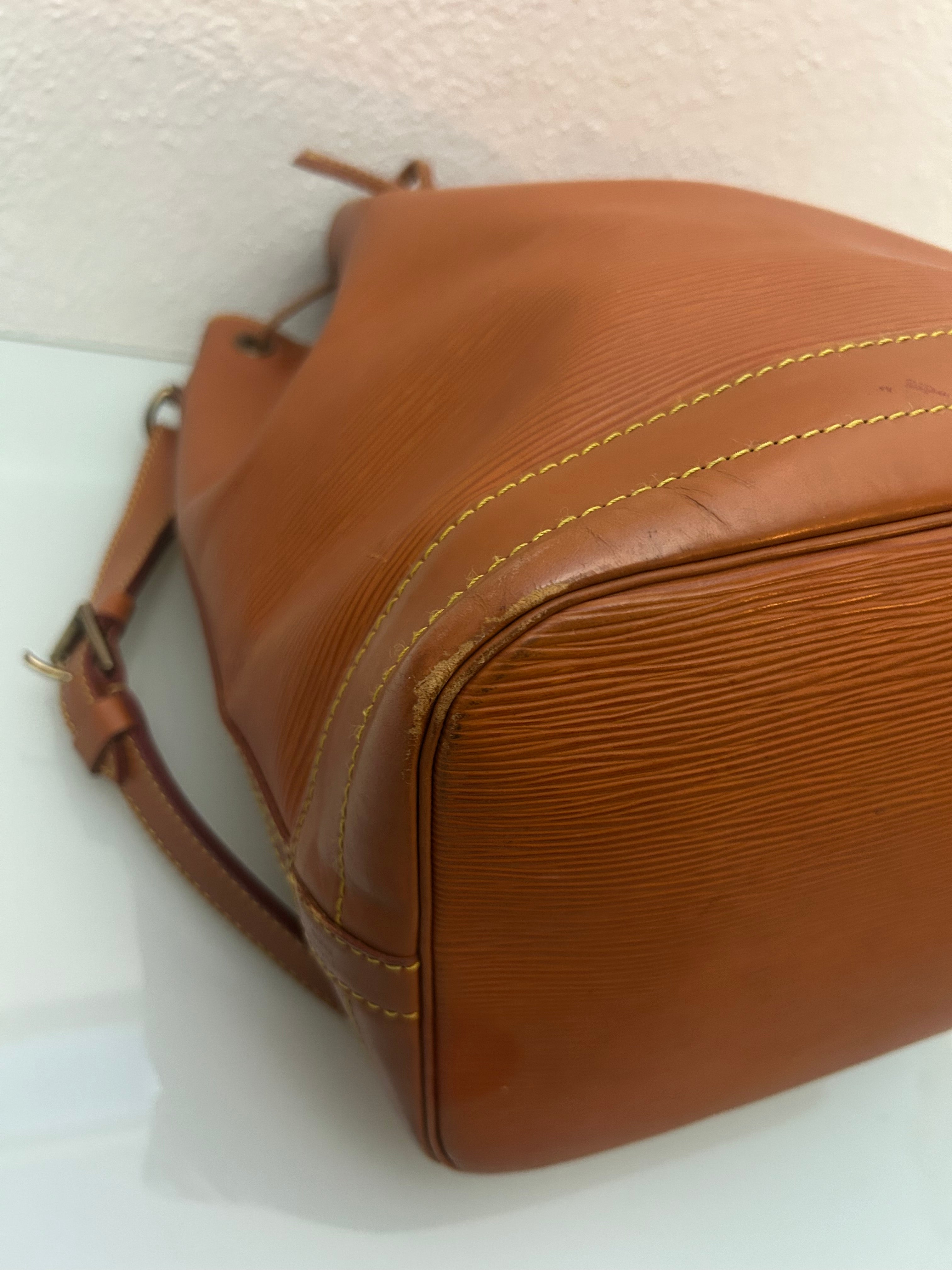 Louis Vuitton Noé Epi