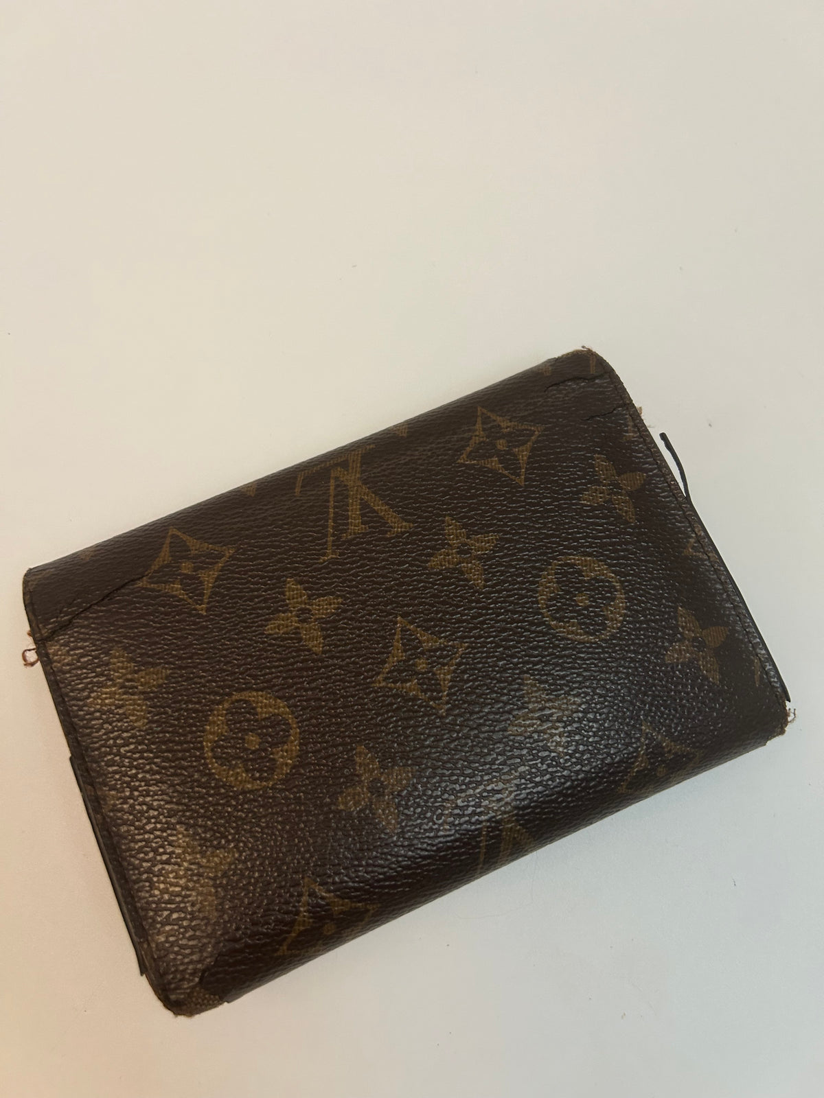 Louis Vuitton pung
