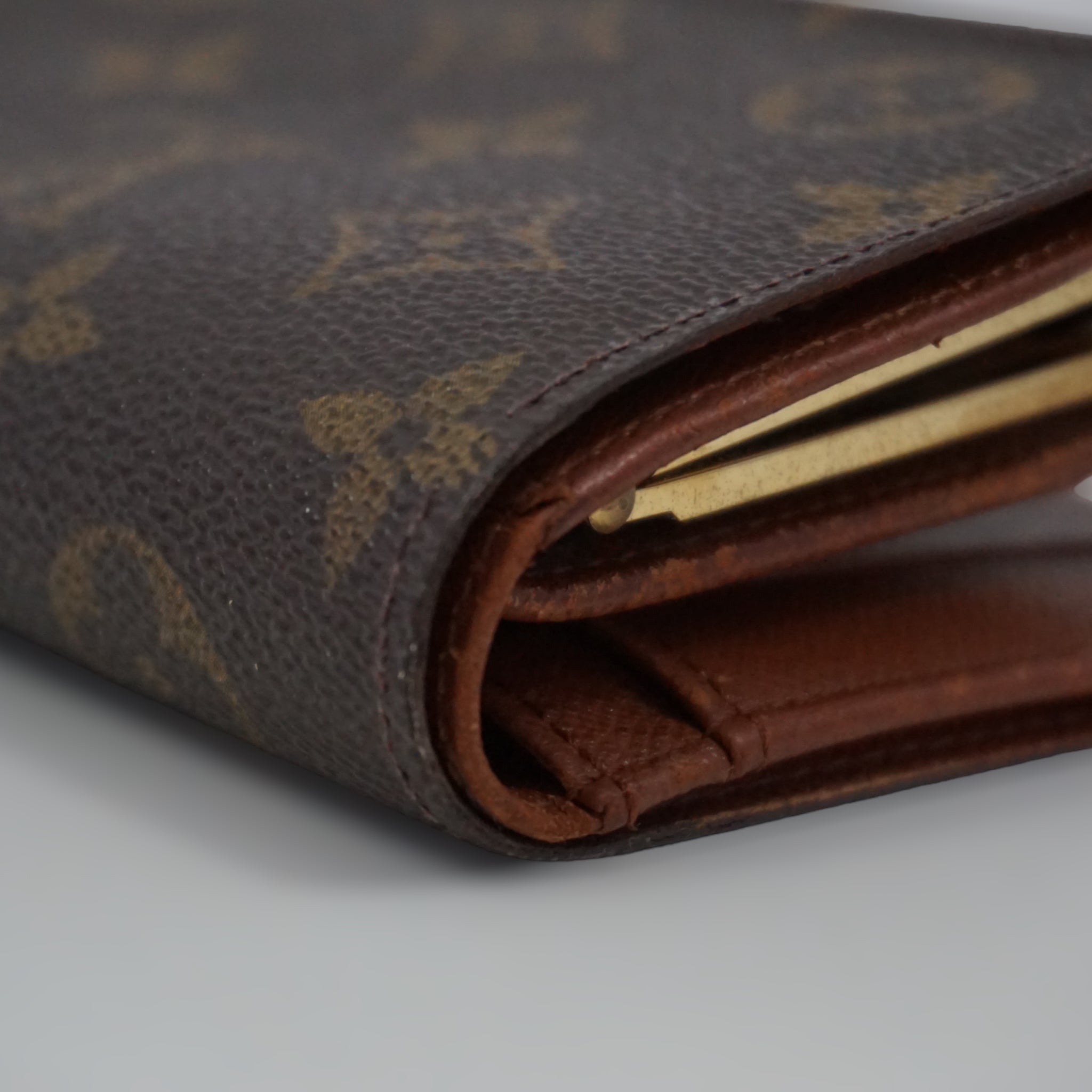 Louis Vuitton Purse